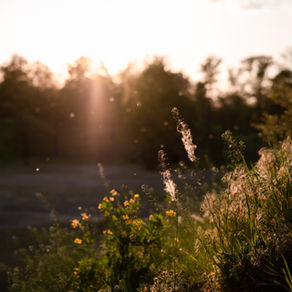 Chiropractic Care for Allergy Relief: A Breath of Fresh Air