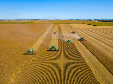 USDA reduz índice de soja em boas/excelentes condições para 65%; milho mantém 67%
