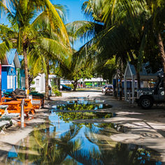 We Gatherin’ 2025: Coming Home, Planting Roots, and How BorderPass Barbados Can Help