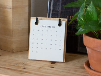 September Newsletter - ED update