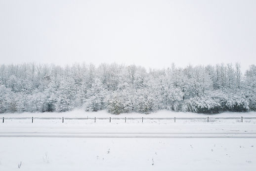 Image by Ottr Dan