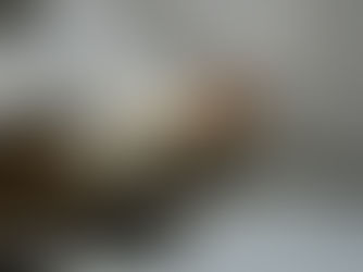 "But I Don't Have Any Assets" – Why You Still Need Estate Planning in Washington State