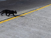 Superstitions and Friday the 13th
