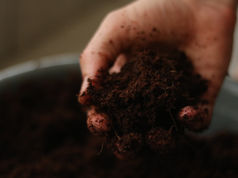 Turning waste into wealth: The untapped potential of biochar in fighting climate change