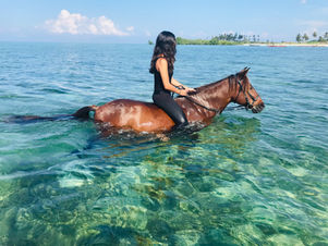 Horseback Riding, River Tubing & Natural Attractions Near Montego Bay