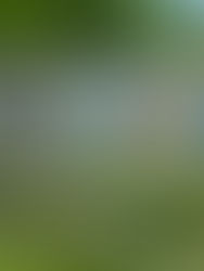 Google aposta em armazenamento de longa duração para acelerar descarbonização de data centers