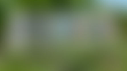 Can Google Searches Track Bird Population Decline?
