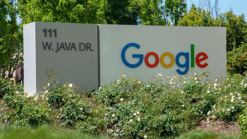 Can Google Searches Track Bird Population Decline?