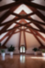 Wooden attic with exposed beams, featuring four potted plants on a polished floor. Sunlight filters through a small arched window.