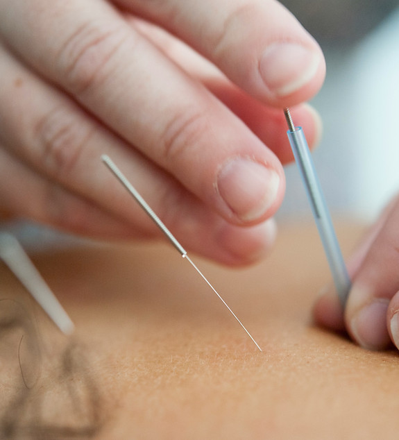 Image by Katherine Hanlon