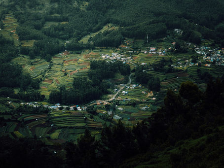 신촌 유흥 · 신촌 밤문화 즐기기 | 최신 유흥사이트 & 밤문화사이트 안내