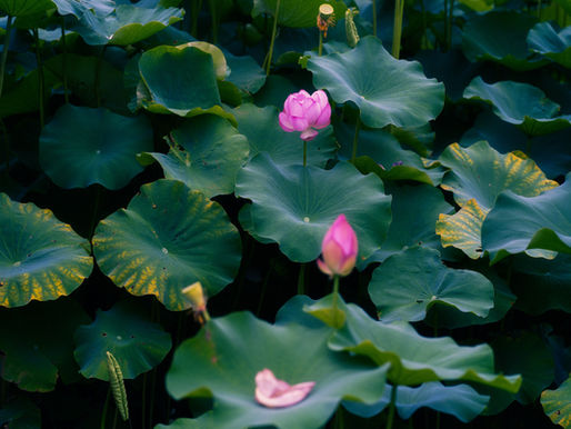 Religion & Spirituality - Q & A