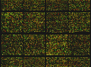 Image by National Cancer Institute
