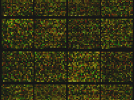 Microarray Comparative Genomic Hybridization (CGH)