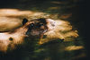 Image by Kevin Wright