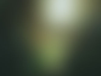 Stripping Away the Noise: How Enlightenment Finds You