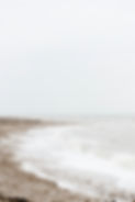 Image by Annie Spratt