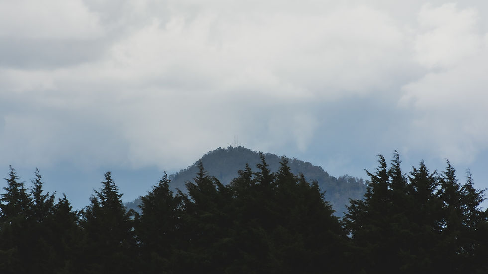 Mountain silhouette with trees in the foreground under a cloudy sky, creating a serene and peaceful landscape.