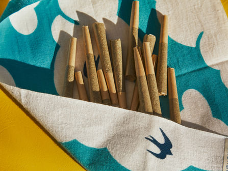 6 דברים שכל מטופל בקנאביס צריך לדעת