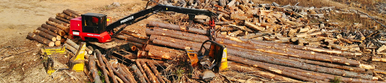 Logging equipment in the woods