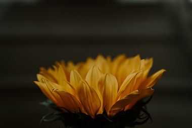 Image by Kelly Sikkema