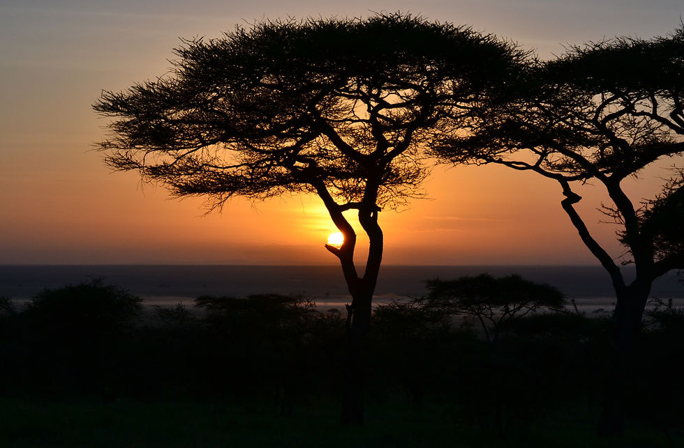 Image by Ryan Jussel