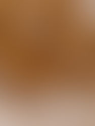 Why Proactive Communication Matters in the Closing Process