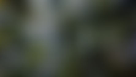 Going Paperless with Digital Edge and Wix : The Epic Saga!