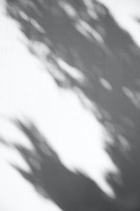 Image by Augustine Wong