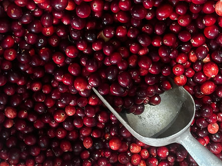 Cranberrys