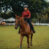 Sports Bras for Horse Riding