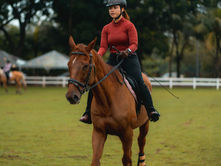 Sports Bras for Horse Riding
