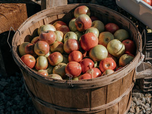 What Is Wassail? A Cider Tradition Rooted in Orchards