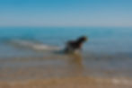 Image by Luke Moss