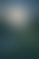 Proverbs of a 39 yr old man