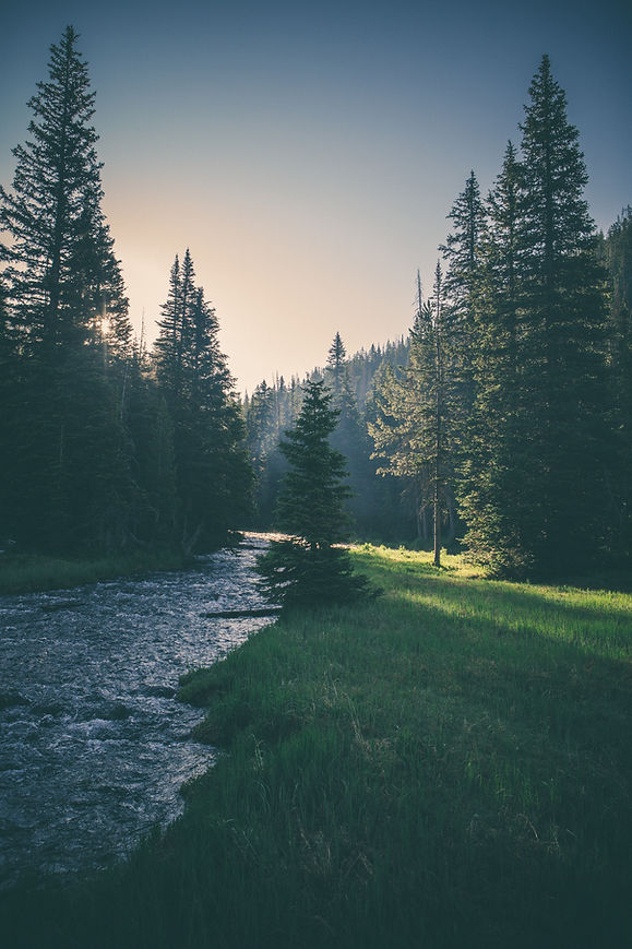 Image by Matthew Smith