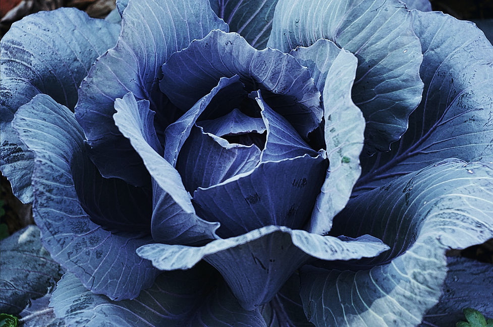 Image by Thomas Kinto