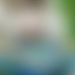 Ar galima maišyti skirtingus šunų maistus – sausą, šlapią, žalią?