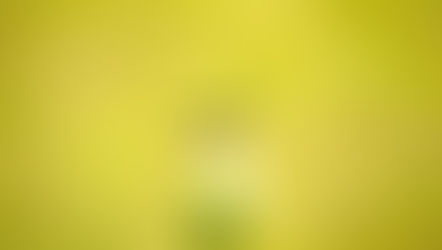 How to Choose Your Mindset and Attitude: The Power to Shape Your Happiness and Become a Happier Person