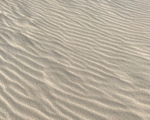 Image by Liona Toussaint