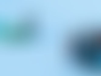 ¿Y la justicia en materia de seguridad social?