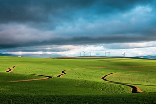 Wind Farm