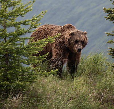 Image by John Thomas