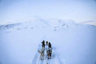 Image by Dylan Shaw