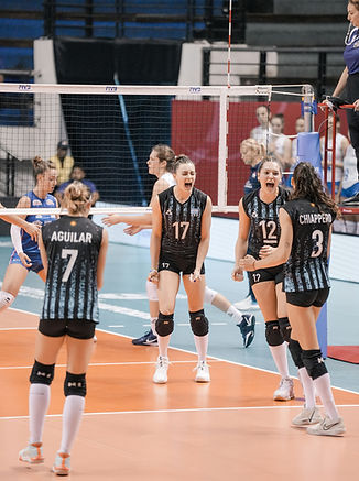 Image by Mitchell Soeharsono