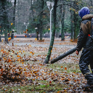 Leaf yard cleanup near me
