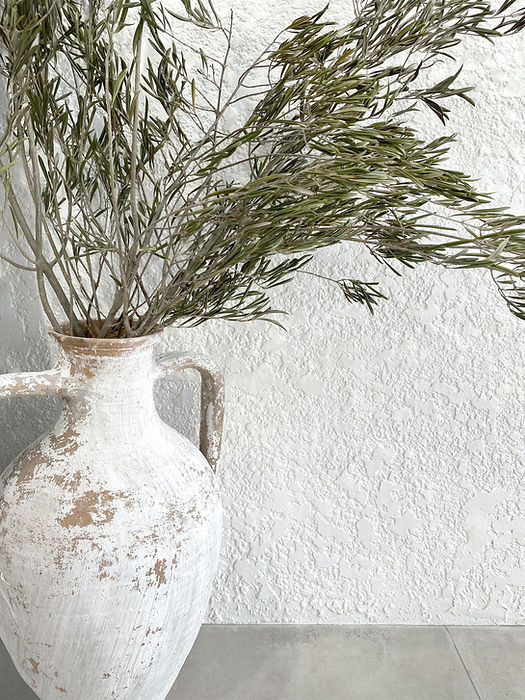 Image by Jannet Serhan