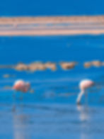 Image by danilo.alvesd
