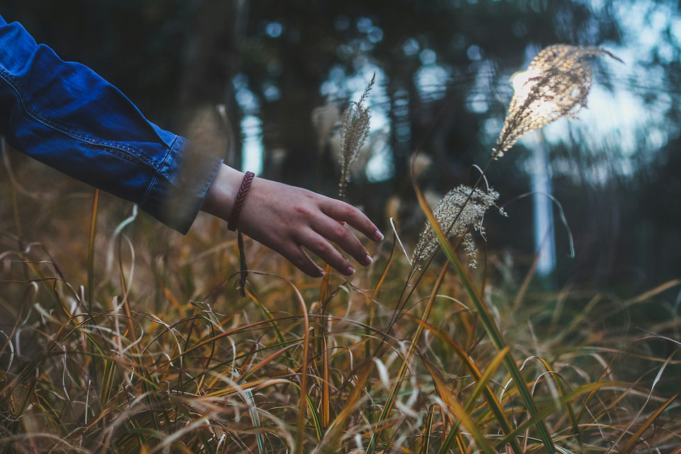 Presencia silenciosa — manos en reposo bajo la luz natural, evocando las condiciones de la sanación
