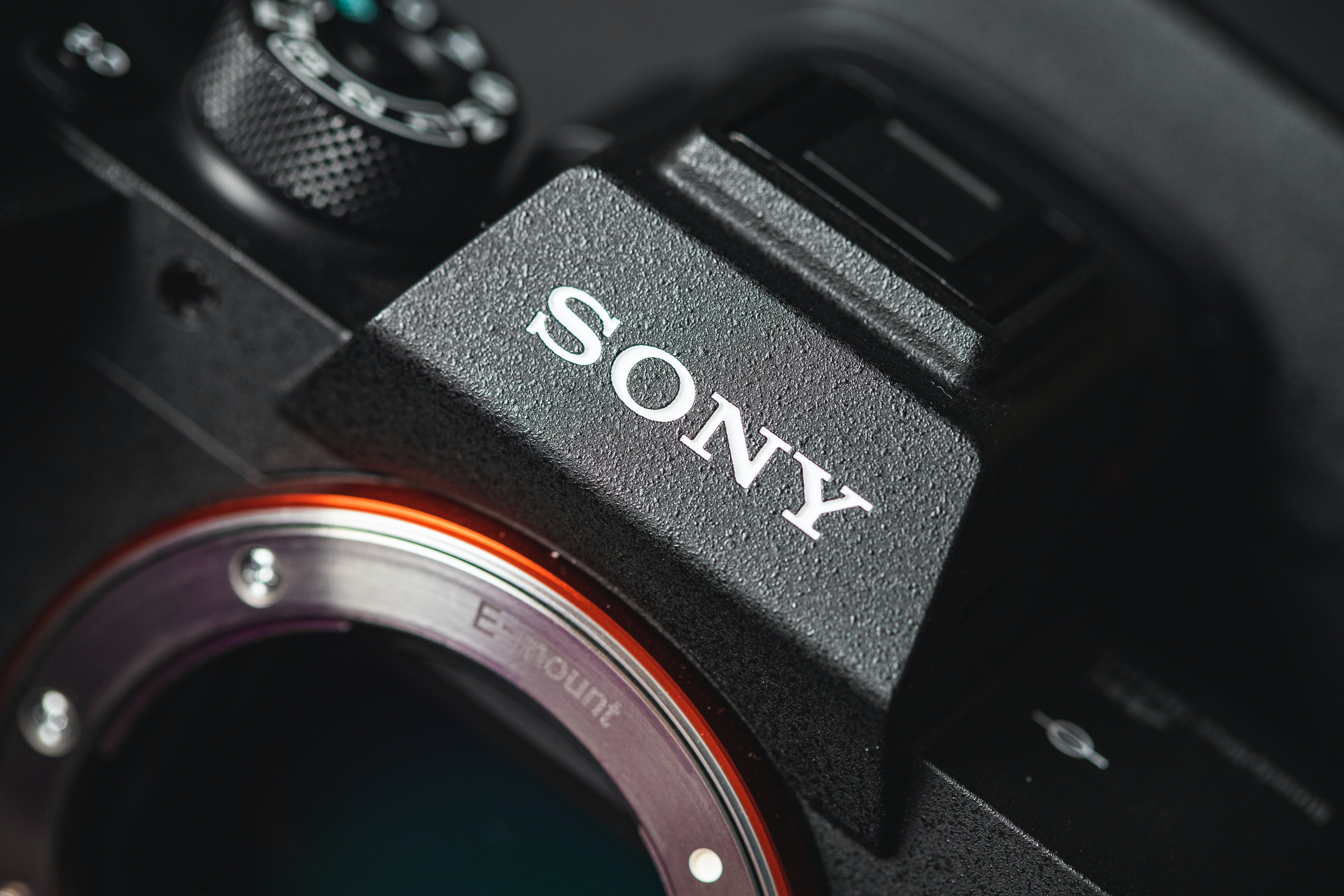 The Sony Alpha vs. Blackmagic Pocket Cinema Camera Series: A Comparative Analysis